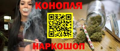 сатива Бузулук