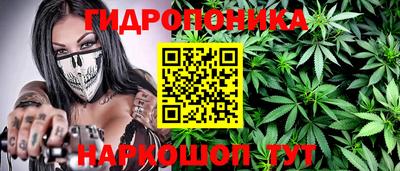 ECSTASY Будённовск