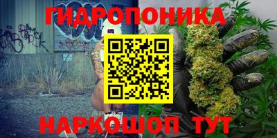 сатива Бузулук