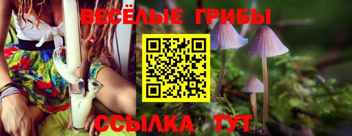 Галлюциногенные грибы Cubensis Комсомольск-на-Амуре